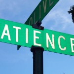 Patience My Unripe Fruit