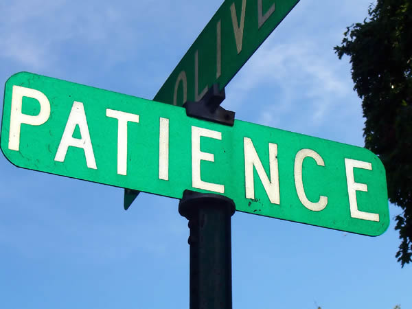 Patience My Unripe Fruit by Dana Pittman Patience | Dana Pittman