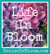 Life in Bloom with Dana Pittman Life in Bloom with Dana Pittman