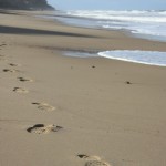 Walking in Truth