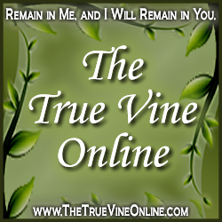 The True Vine Online with Dana Pittman