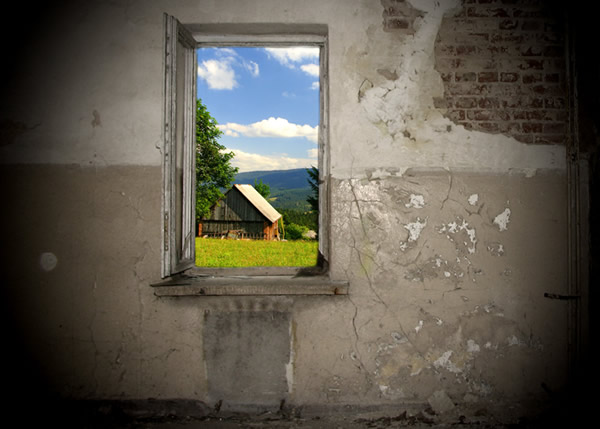 My Dream Is Not a Hobby by Dana Pittman My Dream Is Not a Hobby by Dana Pittman