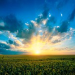 Permission to Shine
