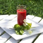 Blogging Through the Book: Soul Smoothie