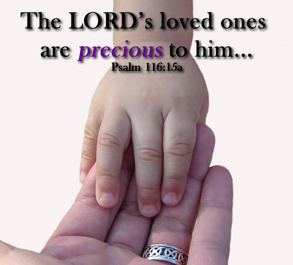 Precious Ones by Dana Pittman Precious Ones by Dana Pittman