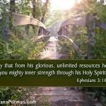A Journey Worthy of Your Time: Bible in 90 Days Week 13