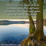 Strong Roots Produce Fruit