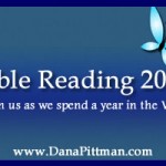 Taking in the Details - Part 2 of Bible Reading 2013