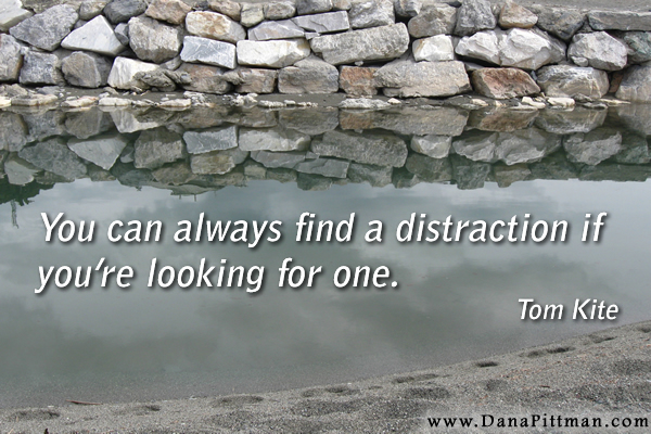 Distractions by Dana Pittman