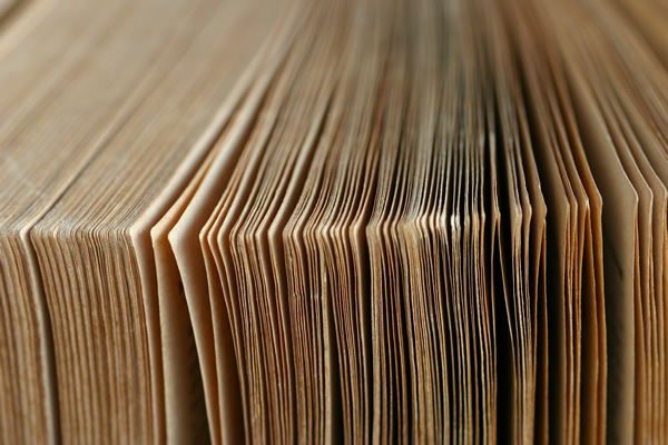 The Dos and Don'ts of Reading the Bible Like a Novel by Dana Pittman