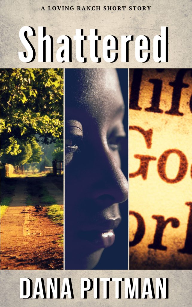 Shattered | Dana Pittman